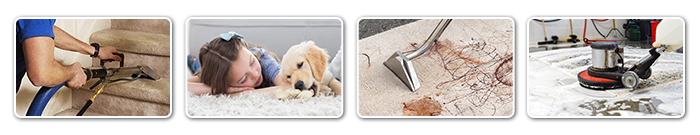 Affordable Cleaning Services Professional Cleaning Services